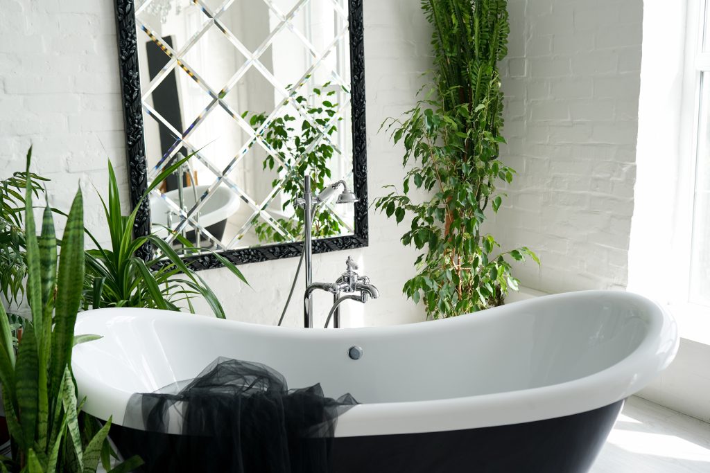 A bathtub and a few bathroom plants